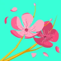 Seller's Profile Photo